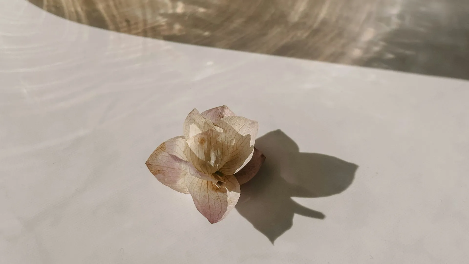 Inhala y Encuentra el Equilibrio